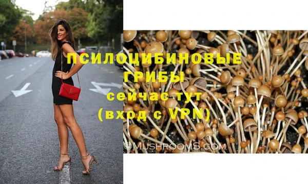 spice Абаза