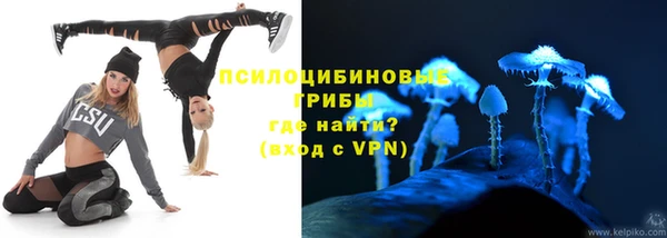 PSILOCYBIN Сатка