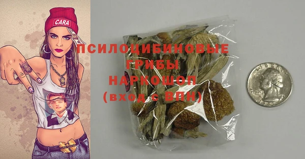 ПСИЛОЦИБИНОВЫЕ ГРИБЫ Абинск