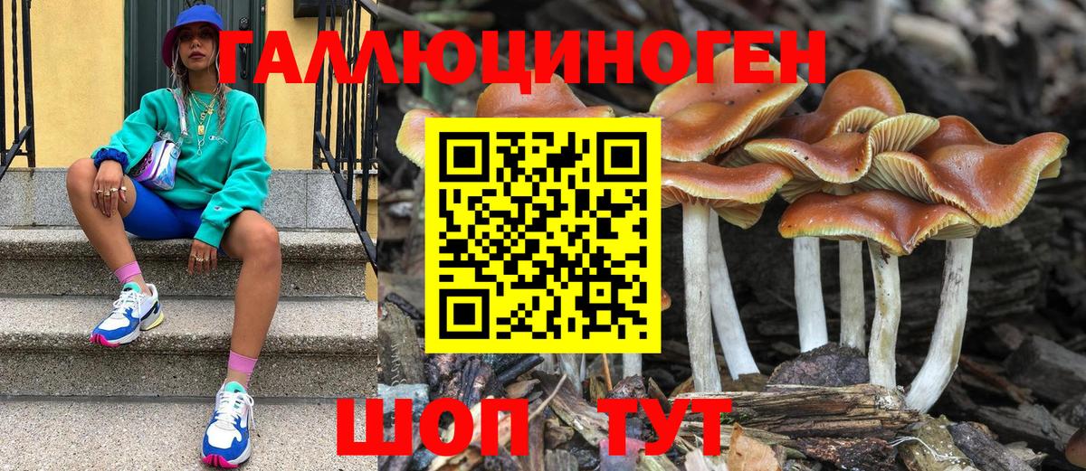 Псилоцибиновые грибы мицелий  Псилоцибиновые грибы MAGIC MUSHROOMS  наркота  Вичуга  Вход с VPN 